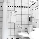 Hindsgavl Slot Hotel