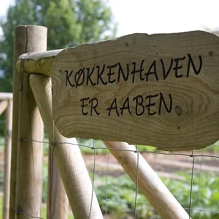 斯咯塔海恩兹联盟酒店 酒店