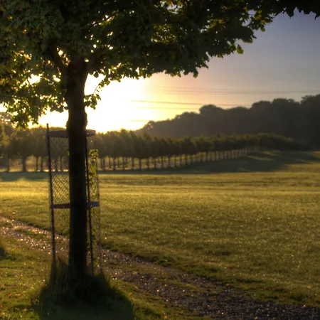 酒店 斯咯塔海恩兹联盟酒店 米泽尔法特