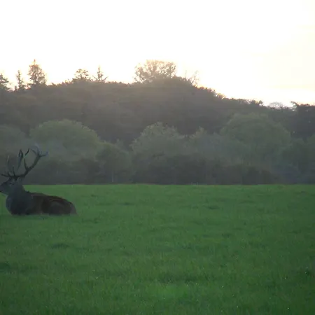 酒店 斯咯塔海恩兹联盟酒店