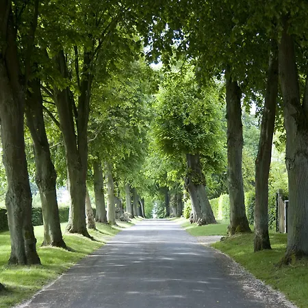 酒店 斯咯塔海恩兹联盟酒店 米泽尔法特