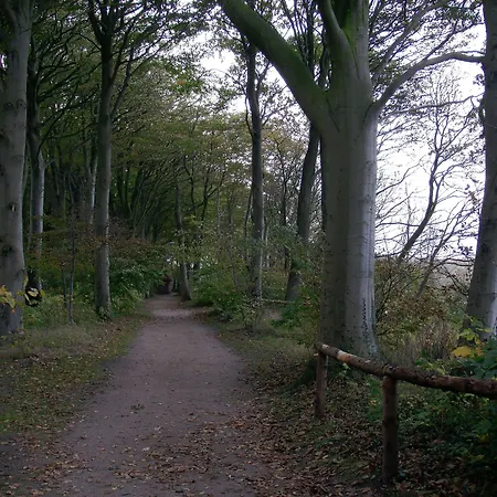 斯咯塔海恩兹联盟酒店 酒店 4*