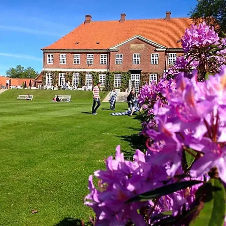 Hindsgavl Slot Hotel 4*