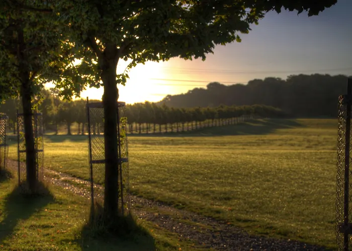 酒店 斯咯塔海恩兹联盟酒店 米泽尔法特