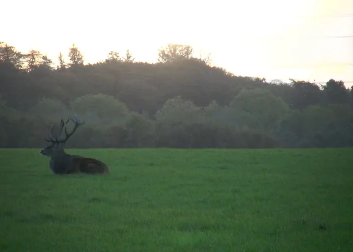 酒店 斯咯塔海恩兹联盟酒店
