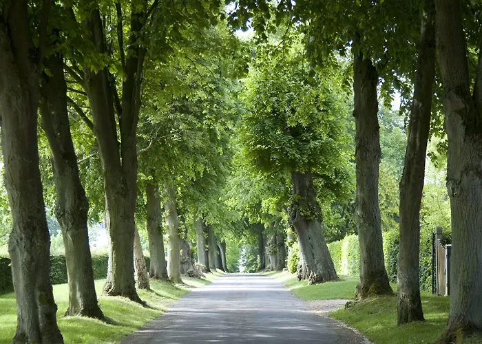 酒店 斯咯塔海恩兹联盟酒店 米泽尔法特