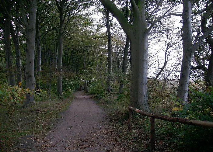 Hindsgavl Slot Hotell 4*