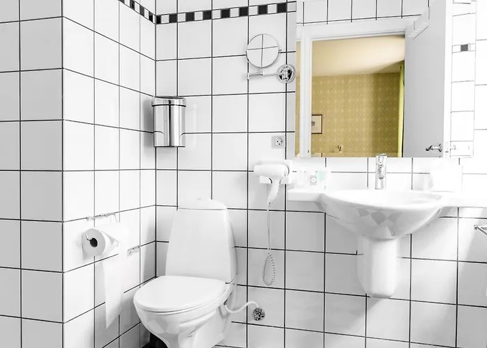 Hotell Hindsgavl Slot 4*